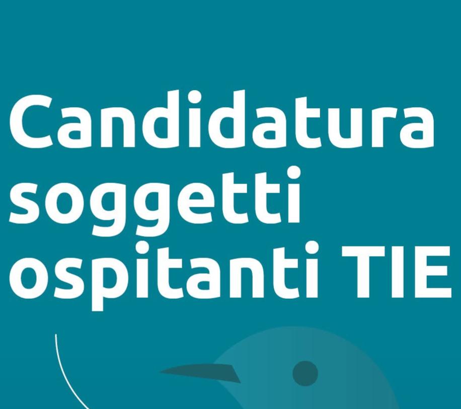 ENPAV – TIE “Talenti Incontrano Eccellenze” SCADENZA 31/01/2024