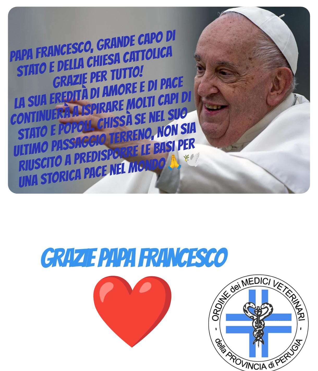Scopri di più sull'articolo Grazie a Papa Francesco da OMV PG